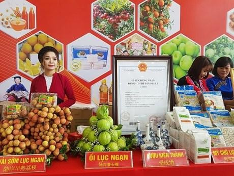 Foto de ilustración. (Fuente: bacgiang.com.vn)