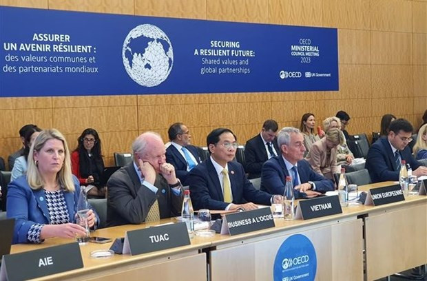 El ministro de Relaciones Exteriores de Vietnam, Bui Thanh Son, asiste a la Reunión del Consejo a nivel ministerial de la OCDE. (Fotografía: VNA)