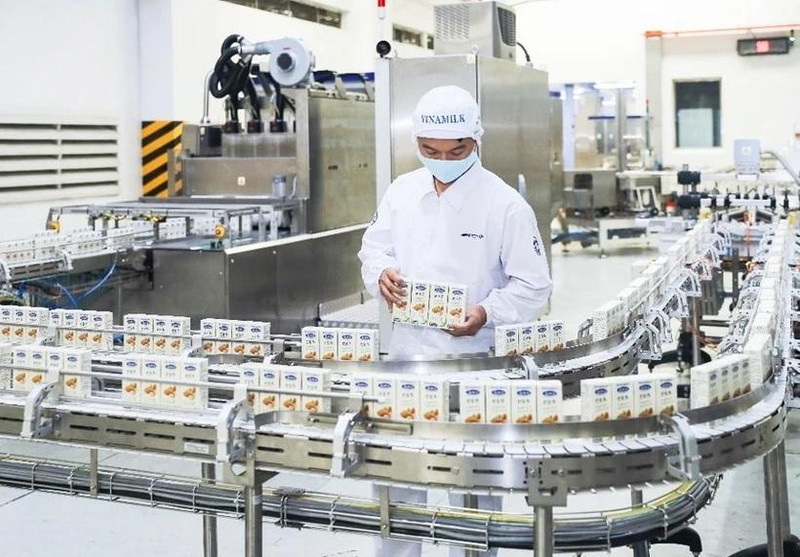 Vinamilk es la empresa que da gloria a la marca nacional vietnamita en el ámbito internacional al ocupar el sexto lugar entre las marcas de leche más valiosas a nivel mundial y ser la marca de alimentos más valiosa de la Asean. (Foto: hthanoimoi.vn)