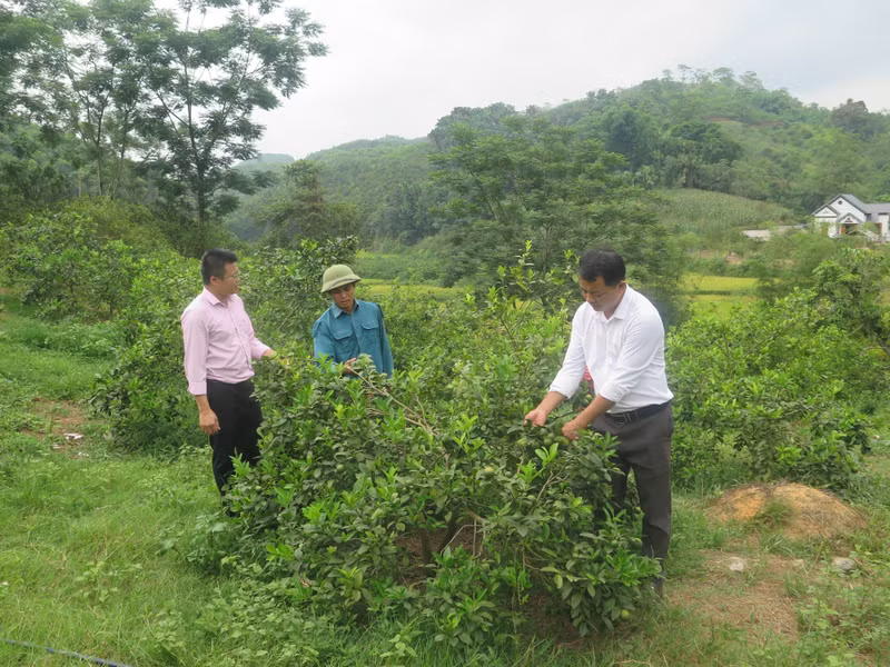 Foto de ilustración (Fuente: tuyenquang.gov.vn)