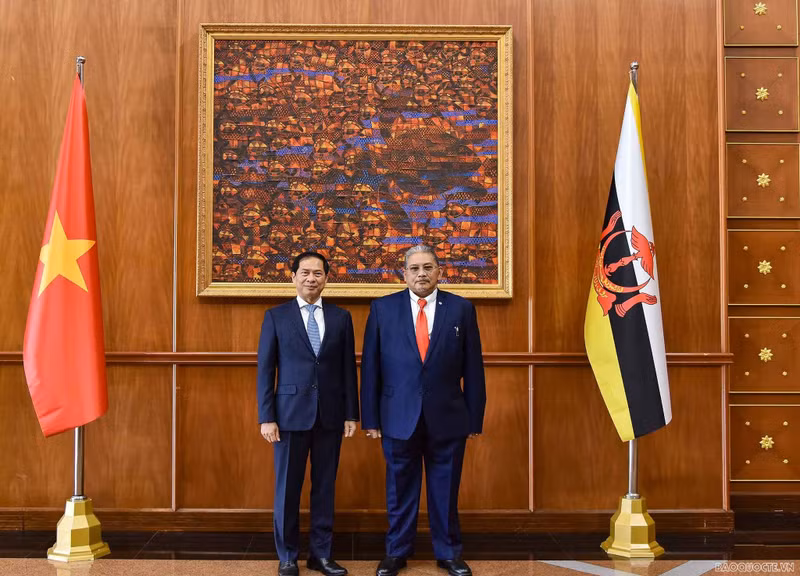 El canciller de Vietnam, Bui Thanh Son (izquierda), y el segundo ministro de Relaciones Exteriores de Brunei, Darussalam Dato Erywan Pehin Yusof. (Fotografía: baoquocte.vn)
