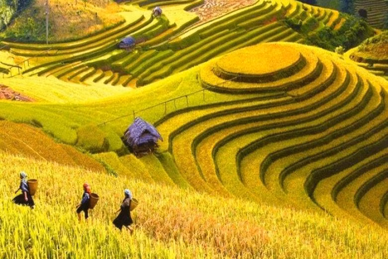 Fotografía: yenbai.gov.vn