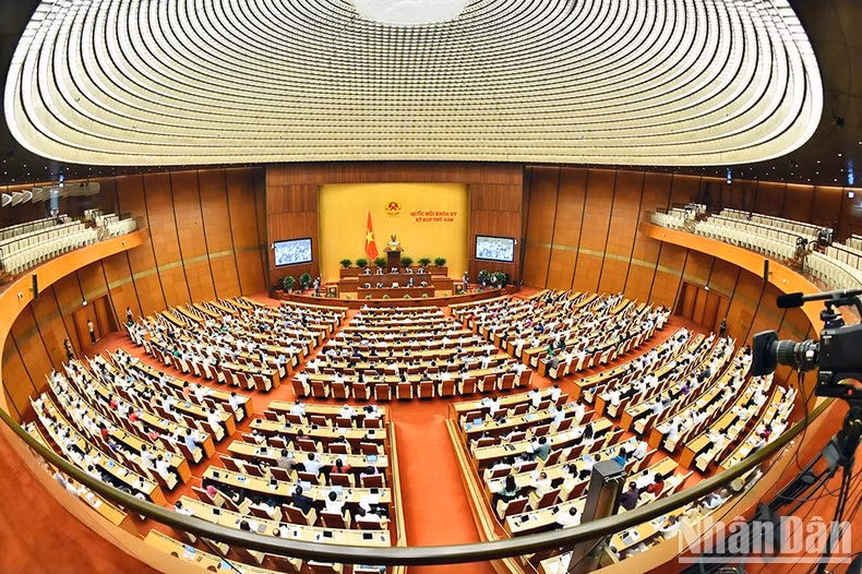 Vista de la sesión. Vista de la sesión.