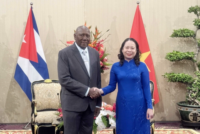 La vicepresidenta de Vietnam, Vo Thi Anh Xuan, recibe al miembro del Buró Político y vicepresidente de Cuba, Salvador Valdés Mesa. (Foto: VNA)