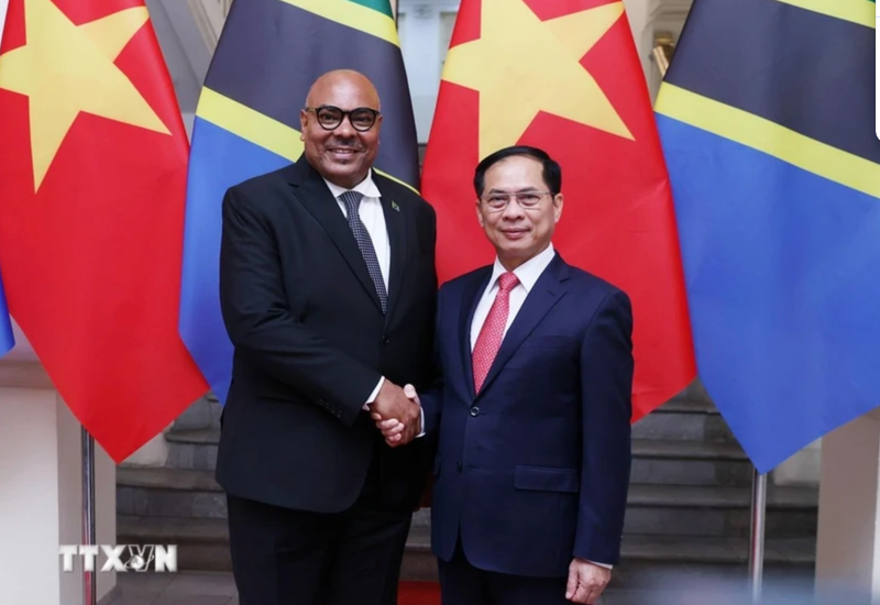 El vicepremier y canciller vietnamita Bui Thanh Son y el ministro de Asuntos Exteriores y Cooperación de África Oriental de Tanzania, Mahmoud Thabit Kombo (Foto: VNA)
