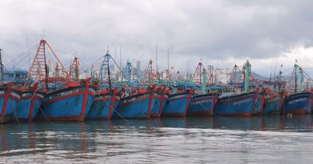 Foto de ilustración (Fuente: nongnghiep.vn)