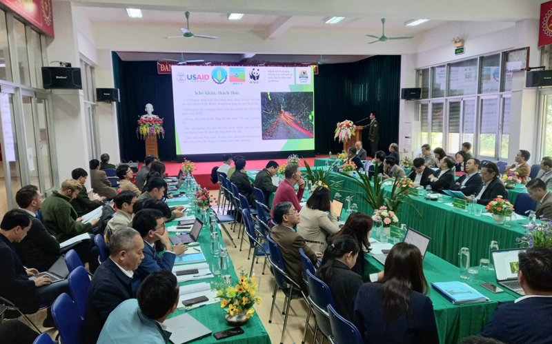 Panorama del evento.