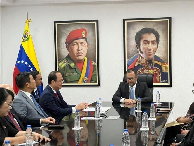 El vicesecretario permanente del Comité partidista de Ciudad Ho Chi Minh, Nguyen Ho Hai, sostiene la reunión de trabajo con la Cancillería de Venezuela. (Foto: VNA)