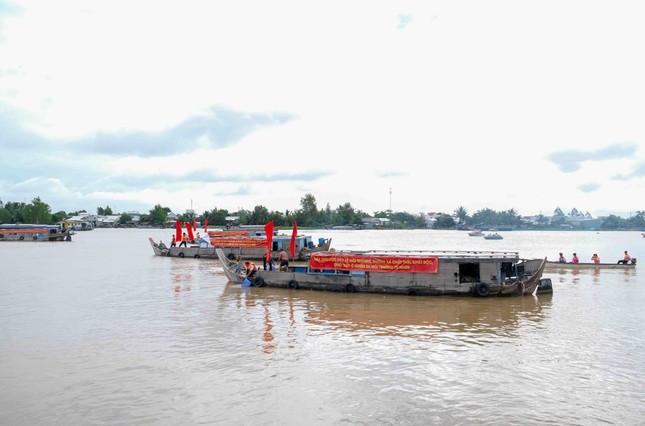 Ciudad de Can Tho libera a naturaleza más de un millón de alevines (Fotografía: tienphong.vn)