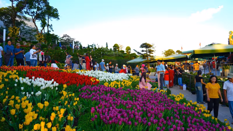 El jardín de tulipanes de vivos colores en la montaña Ba Den atrae a numerosos turistas que vienen a pasear, tomar fotos y disfrutar del aire fresco. El jardín de tulipanes de vivos colores en la montaña Ba Den atrae a numerosos turistas que vienen a pasear, tomar fotos y disfrutar del aire fresco.
