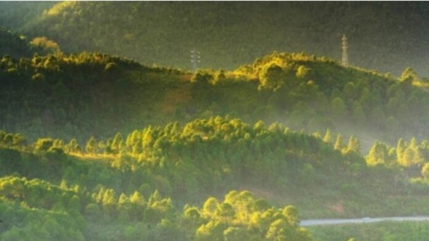 Foto ilustrativa (Fuente: The Meghalaya)
