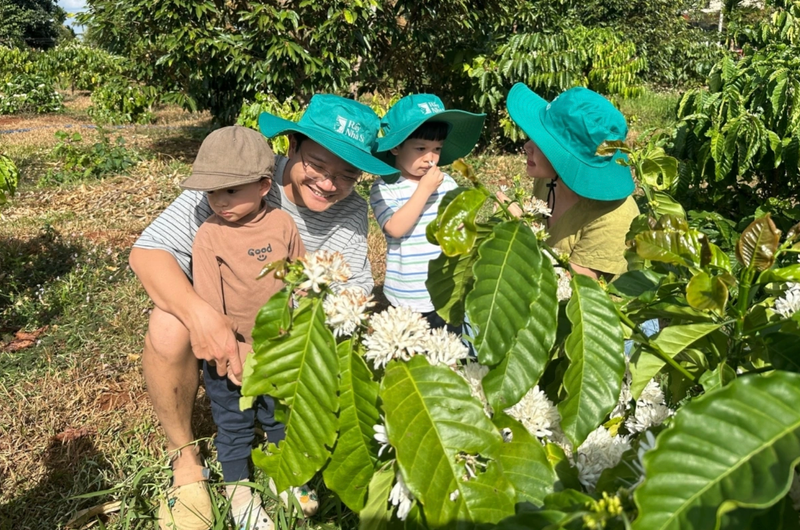 Exploran plantaciones de café especiales en provincia vietnamita de Dak Lak (Foto: VOV)