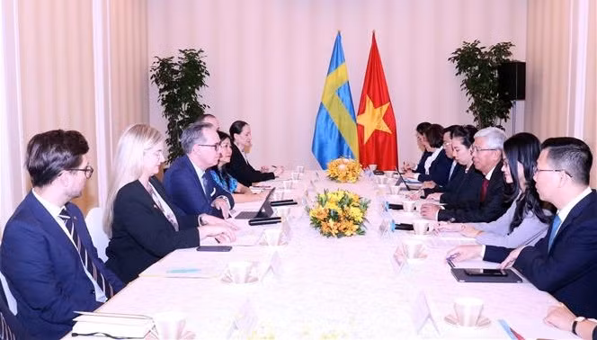 El panorama de la reunión. (Foto: VNA)