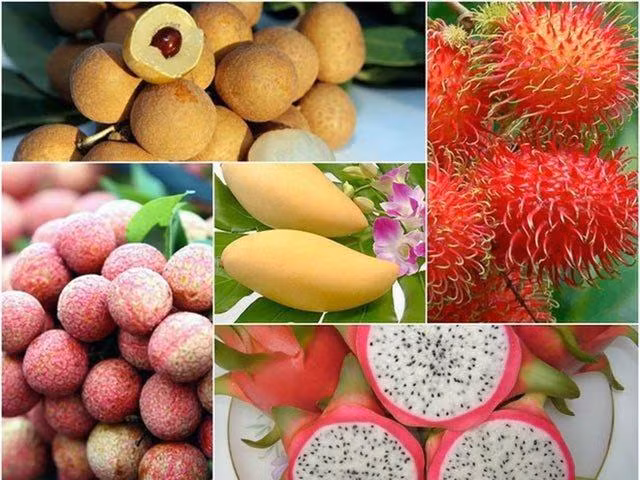 Foto de ilustración (Fuente: baochinhphu.vn)