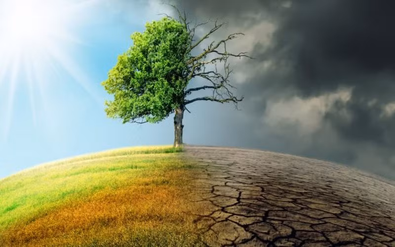 Foto de ilustración.