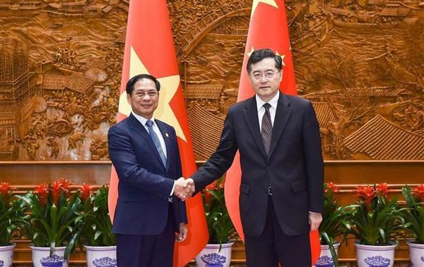 Los cancilleres vietnamita Bui Thanh Son y chino Qin Gang (Fotografía: VNA)