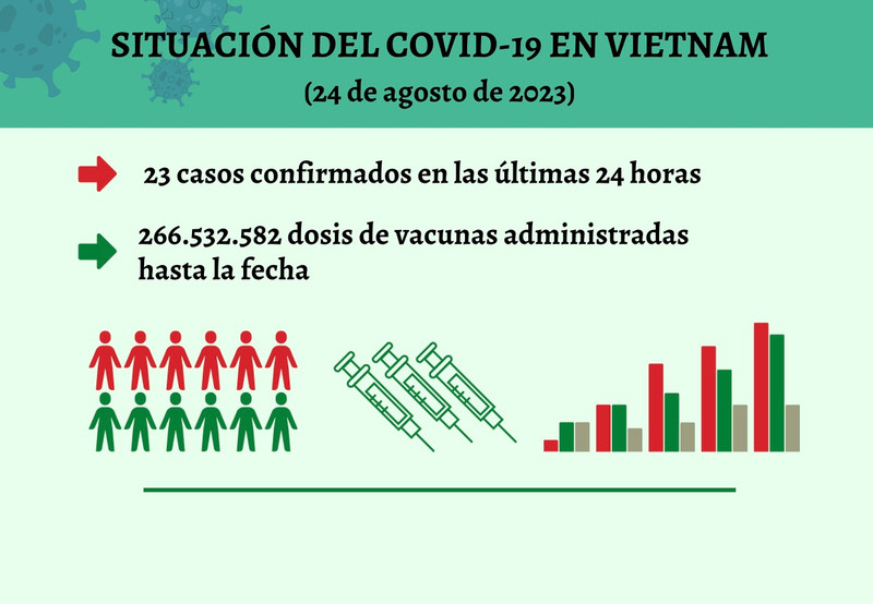 Infografía: Actualización sobre la situación del Covid-19 en Vietnam - 24 de agosto de 2023