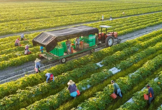 Foto de ilustración (Fotograía: vneconomy.vn)