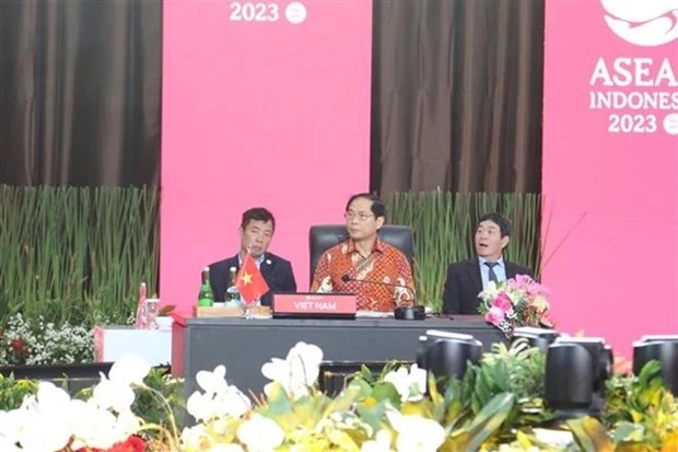El canciller vietnamita, Bui Thanh Son, en la Reunión restringida de Relaciones Exteriores de la Asean (Fotografía: VNA)