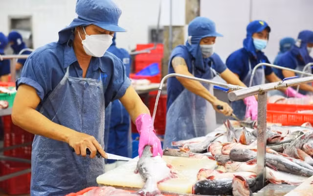 Foto de ilustración (Fuente: VNA)