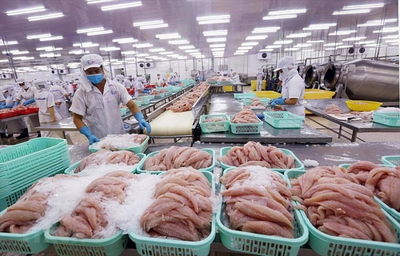 El pescado tra para la exportsción (Foto: VASEP)