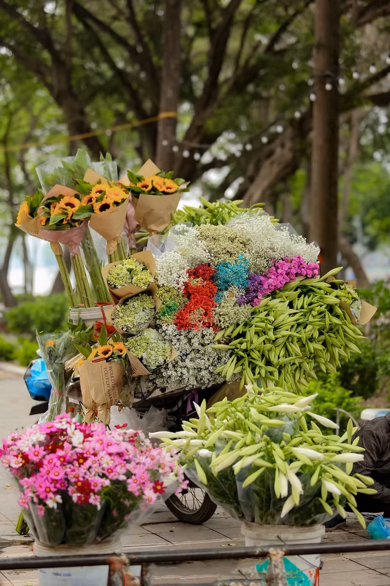 Por estos días las calles de Hanói se llenan del inmaculado color blanco de los lirios.