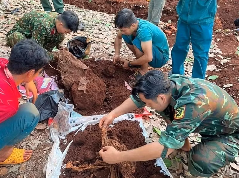 Despliegan trabajo de búsqueda de restos de mártires en Camboya en 2023-2024 (Foto: VNA)