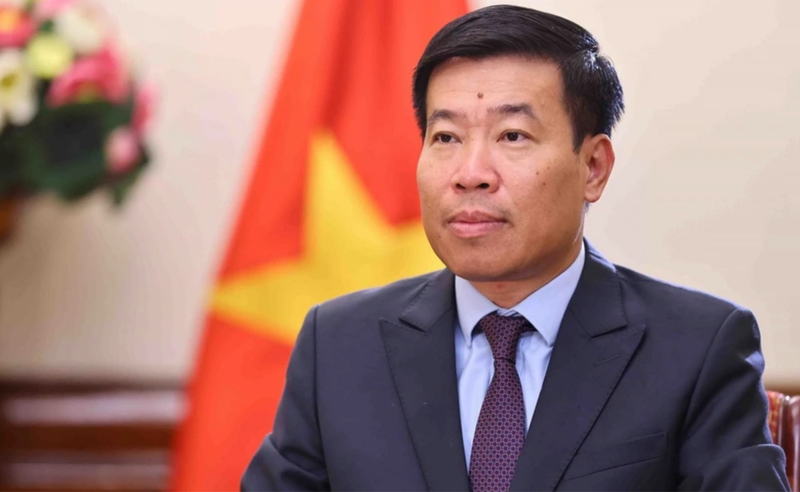 El viceministro de Relaciones Exteriores de Vietnam, Nguyen Manh Cuong. (Foto: VNA)
