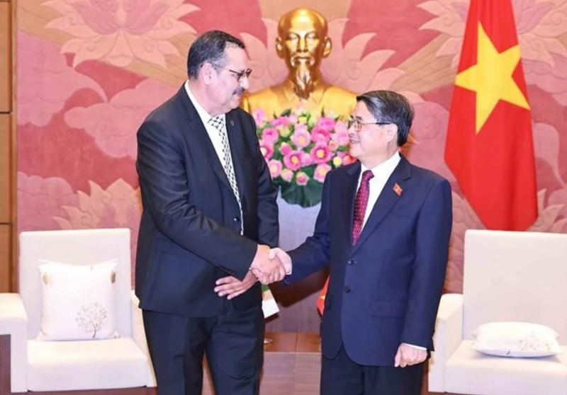 El vicepresidente de la Asamblea Nacional vietnamita, Nguyen Duc Hai, recibe a Salah Djegloul, presidente del Grupo parlamentario de Amistad Argelia-Vietnam. (Foto: VNA)