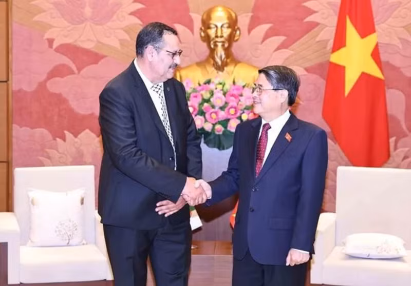 El vicepresidente de la Asamblea Nacional vietnamita, Nguyen Duc Hai, recibe a Salah Djegloul, presidente del Grupo parlamentario de Amistad Argelia-Vietnam. (Foto: VNA)