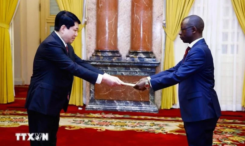 El presidente de Vietnam, Luong Cuong, recibe cartas credenciales del embajador de Burundi, Telesphone Irambonao. (Foto: VNA)
