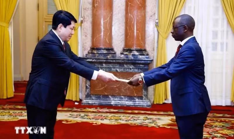 El presidente de Vietnam, Luong Cuong, recibe cartas credenciales del embajador de Burundi, Telesphone Irambonao. (Foto: VNA)