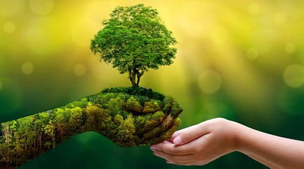 Foto de ilustración (Fuente: thiennhien.net)