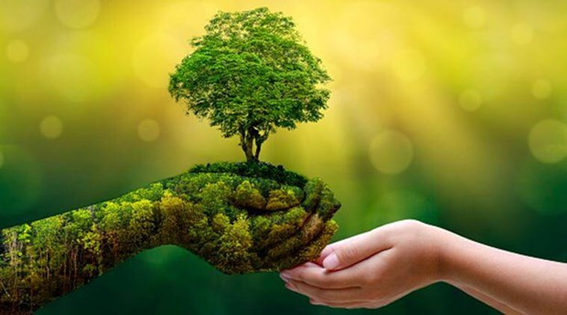 Foto de ilustración (Fuente: thiennhien.net)