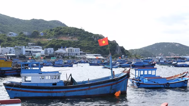 El 85 por ciento de los hogares de residentes en la isla de Binh Ba se dedican a la cría de langostas en el mar.