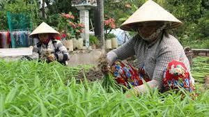 Foto de ilustración (Fuente: laodongxahoi.net)