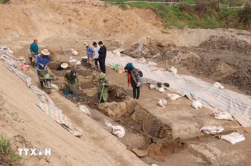 Cada barco tiene 16 metros de largo y entre 1,95 y 2 metros de ancho: dimensiones imponentes que lo convierten en un tipo único en la historia de la arqueología vietnamita. (Foto: VNA)
