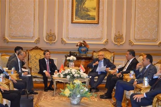 En la reunión entre el vicepresidente de la ANV Nguyen Duc Hai y el vicepresidente del Senado egipcio, Bahaa El-Din Abu Shaqqa. (Fotografía: VNA)