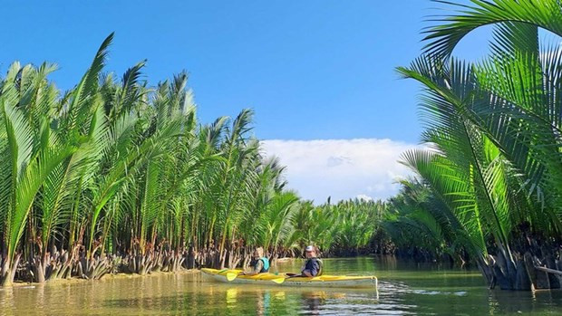 Recorrido en bote a través del bosque de cocoteros. (Fotografía: hoiankayaktours.com)
