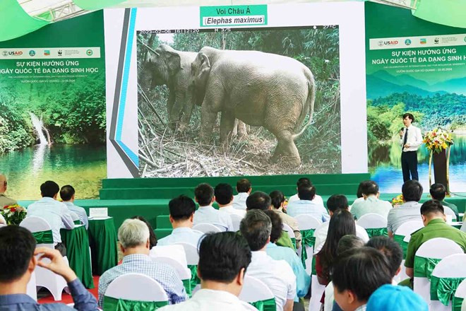 En el evento (Foto: laodong.vn)