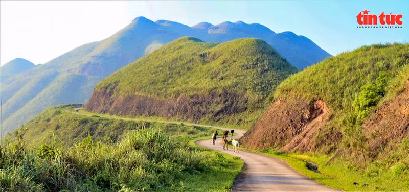 Las curvas del camino en Binh Lieu en otoño. Las curvas del camino en Binh Lieu en otoño.