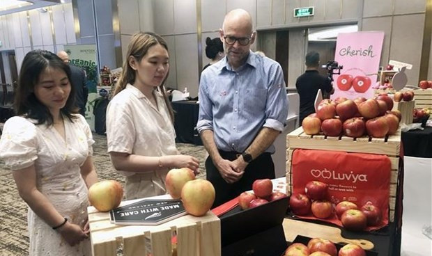 Una empresa neozelandesa introduce sus productos a clientes vietnamitas (Fotografía: VNA)