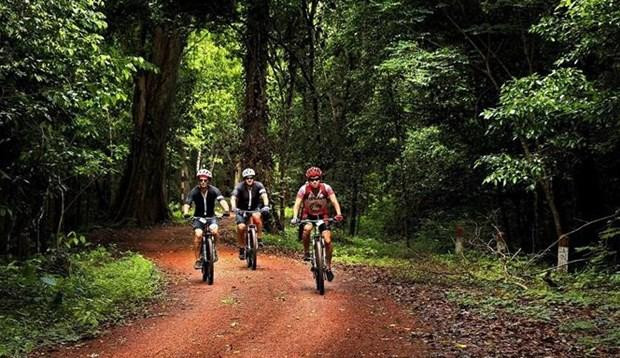 Turistas internacionales exploran la Reserva Cultural y Natural de Dong Nai en bicicleta. (Fotografía: VNA)