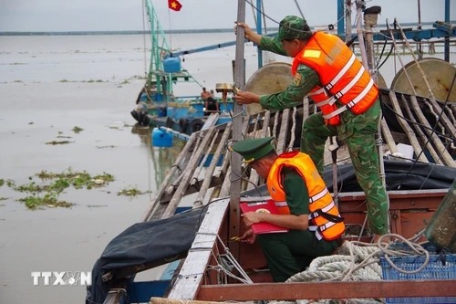 Dong Thap supervisa de cerca la actividad de barcos pesqueros. (Foto: VNA)