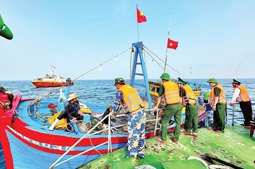 La Fuerza de Guardia Fronteriza de Quang Ngai patrulla regularmente el mar y gestiona estrictamente los casos de buques pesqueros que violan las regulaciones de la pesca INDNR. (Foto: Nhan Dan)
