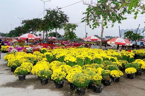 Mercado de flores de primavera Binh Dien 2026: Un evento inolvidable para el Tet. (Foto: VNA)