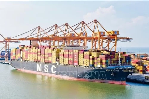 MSC KALINA es el mayor barco de contenedores que atraca al puerto de Lach Huyen, en la ciudad norteña de Hai Phong. (Foto: VNA)