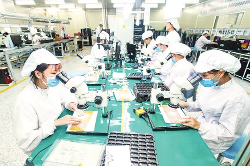 Foto de ilustración. (Fuente: Nhan Dan)