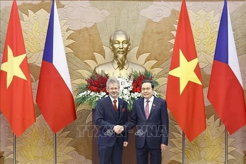 El presidente de la Asamblea Nacional de Vietnam, Tran Thanh Man, y el presidente del Senado de la República Checa, Milos Vystrcil. (Foto: VNA)