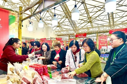 Visitantes a la feria. (Foto: VNA)